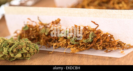 Einen Joint aus Marihuana und Tabak (Tiefenschärfe) Stockfoto