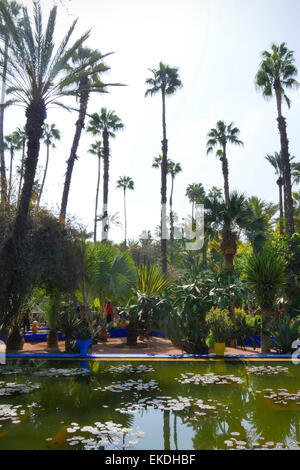 Hohe Palmen im Garten Majorelle in Marrakesch, Marokko Stockfoto