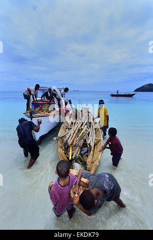 Lokalen Dorf Familie entladen Holz vom Boot, Yaqeta Island. Yasawa-Gruppe. Fidschi-Inseln. Pazifik Stockfoto