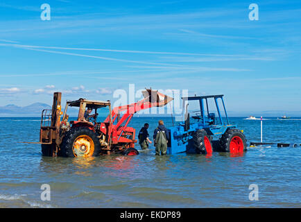 Zwei Traktoren - beschädigt man - im seichten Wasser bei Abersoch, Gwynedd, North Wales, UK Stockfoto