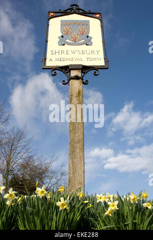 Alte Straße Zeichen, dass begrüßt Besucher Shrewsbury, dargestellt im Frühjahr unter blauem Himmel und umgeben von Narzissen. Stockfoto