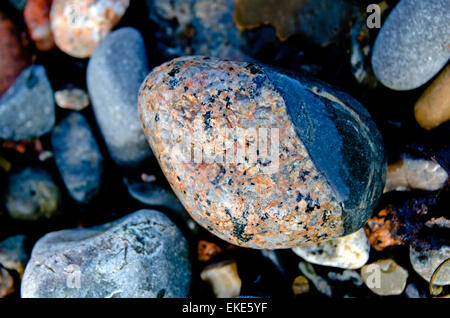 Ein gestreiftes Strand Stein im Acadia National Park, Maine. Stockfoto