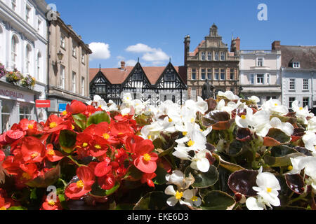 Shrewsbury Town Centre. Nahaufnahme von Sommerblumen blühen in The Square. Die gegenüberliegenden Gebäude sind auf der High Street. Stockfoto