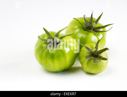 Drei frische grüne Tomaten isoliert auf weißem Hintergrund mit Exemplar Stockfoto