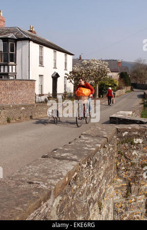 Presteigne Powys Wales Frau Zyklen auf Brücke über Fluß Lugg mit Hund und Warenkorb im April Stockfoto