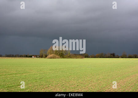 Flaches Feld in Norfolk, England Stockfoto