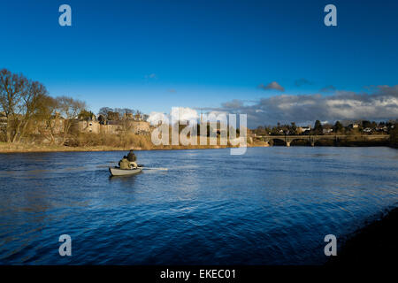 Lachsangeln auf dem Fluss Tweed an der Kreuzung, wo die Teviot Tweed in Kelso trifft. Stockfoto