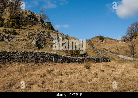 Blick über wenig Langdale, Cumbria, England, UK Stockfoto