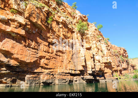 Sandstein, Chamberlain Schlucht El Questro Wilderness Park, Kimberley, Westaustralien, WA, Australien Stockfoto