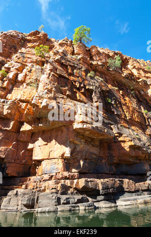 Sandstein, Chamberlain Schlucht El Questro Wilderness Park, Kimberley, Westaustralien, WA, Australien Stockfoto