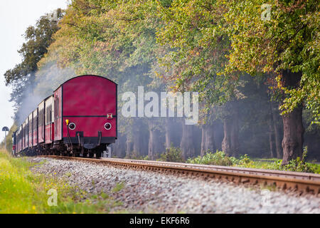 Rückseite ein Dampfzug mit einem roten Waggon am Ende auf einer Strecke durch wunderschöne Landschaft Stockfoto