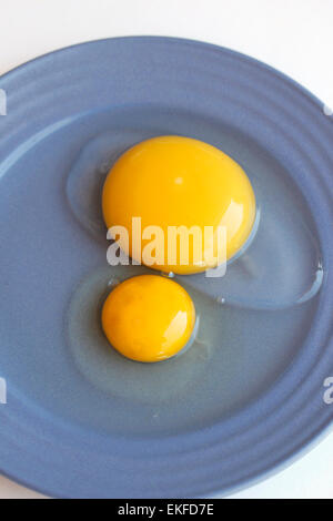 Eiern. Gans und Huhn. Stockfoto
