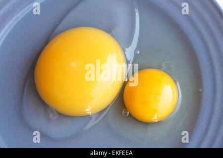 Eiern. Gans und Huhn. Stockfoto