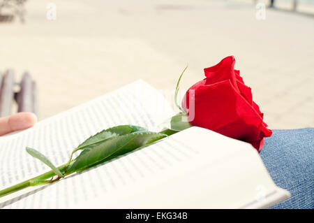 Nahaufnahme eines jungen Mannes mit einer roten Rose auf ein offenes Buch für Sant Jordi, Saint Georges Day, wenn es Tradition ist, rot r zu geben Stockfoto