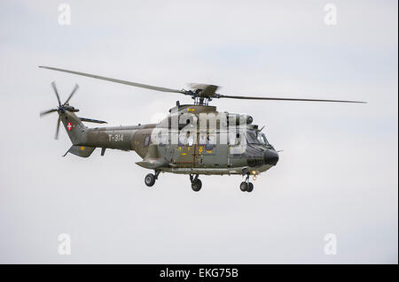 Swiss Air Force AS332M1 Super-Puma-Transport-Hubschrauber Stockfoto