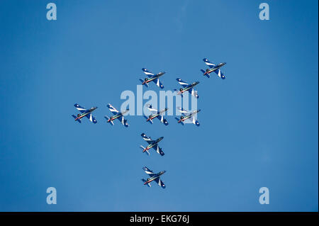 Italienische Luftwaffe Frecce Tricolori Display Team RIAT 2014 - AT-339A Aermacchi Flugzeug Stockfoto