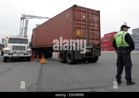 Ein U.S. Customs and Border Protection Officer steht, visuelle Inspektion von Fahrzeugen vor, sie durchlaufen eine Mobile VACIS-System in Seattle, Washington Einfuhrhafen durchzuführen.  Die VACIS ist ein LKW-montierte Gamma-Ray imaging-System für die Inspektion von Fahrzeugen und Ladung in mehreren, temporäre oder abgelegenen Orten.  Donna Burton Stockfoto