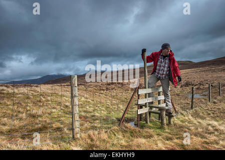 Ein Mann, Klettern über einen Stil auf Blake Fell. Die Szene ist gut von der Sonne unter einem dunklen bewölkten Himmel beleuchtet. Stockfoto