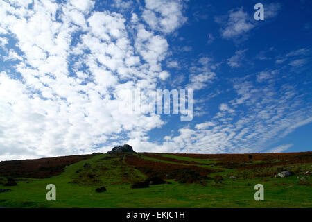 Blauen Himmel & Altocumulus Wolkenbildung über die grünen Hänge & Granitfelsen von Heu Tor Dartmoor Devon Stockfoto