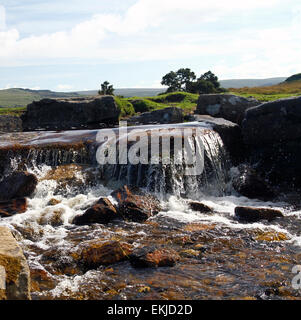 Grimspound & Sortridge Leat Versorgung mit kristallklarem Quellwasser, Plymouth quadratische Bild eines kleinen Wasserfalls auf Dartmoor Stockfoto