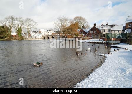 Fordingbridge am Fluss Avon, New Forest, Hampshire, Stadtpark am Flussufer und Brücke im Winterschnee. Stockfoto