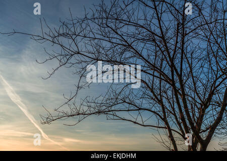Landschaft Foto von Byron Park in Harrow, London Stockfoto