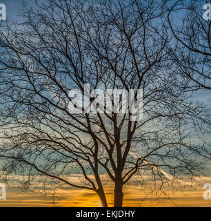 Landschaft Foto von Byron Park in Harrow, London Stockfoto