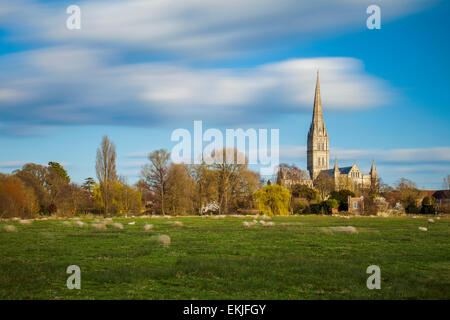 Frühling am Nachmittag an die Kathedrale von Salisbury, Wiltshire, England. Stockfoto