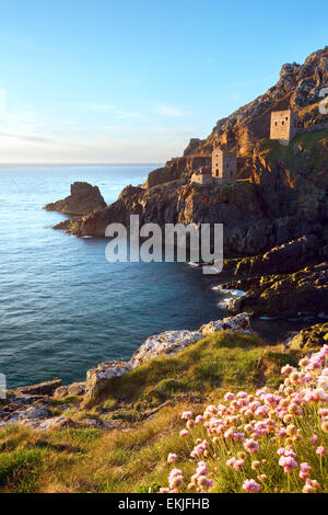 Krone Motor beherbergt auf Botallack im Frühsommer Cornwall Uk Stockfoto