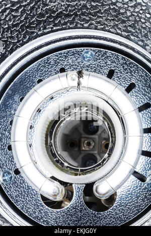 Professional Studio Flash-close-up mittels Makro-Objektiv Stockfoto