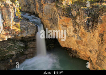 Watefall in Schönheit Creek Canyon, Jasper Nationalpark, Alberta, Kanada Stockfoto