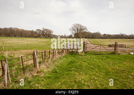 Horse Hill, Surrey, Freitag, 10. April 2015. Auf dem Gelände der Exploration Firma UK Öl & Gas Investitionen (UKOG) war alles still. Stockfoto