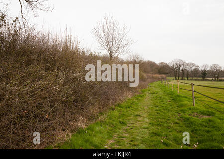 Horse Hill, Surrey, Freitag, 10. April 2015. Auf dem Gelände der Exploration Firma UK Öl & Gas Investitionen (UKOG) war alles still. Stockfoto