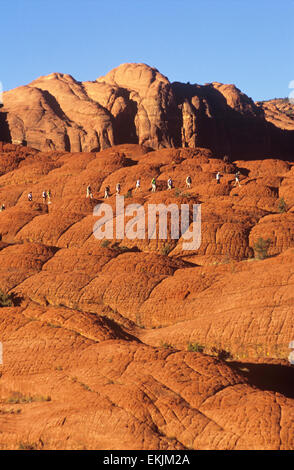 Roten Felsformationen Zwerg Wanderer am versteinerten Sanddünen, Snow Canyon State Park in der Nähe von St. George, Utah, USA Stockfoto