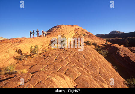 Roten Felsformationen Zwerg Wanderer am versteinerten Sanddünen, Snow Canyon State Park in der Nähe von St. George, Utah, USA Stockfoto