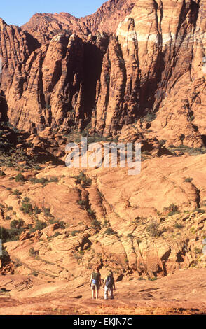 Roten Felsformationen Zwerg Wanderer am versteinerten Sanddünen, Snow Canyon State Park in der Nähe von St. George, Utah, USA Stockfoto