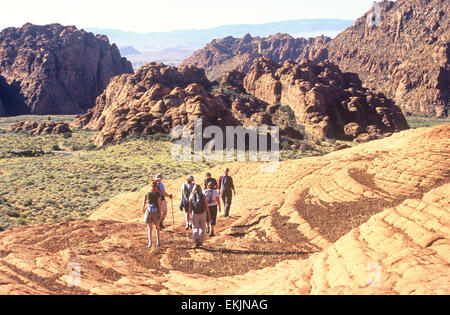 Roten Felsformationen Zwerg Wanderer am versteinerten Sanddünen, Snow Canyon State Park in der Nähe von St. George, Utah, USA Stockfoto