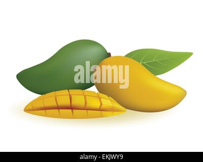 Mango, auf weißem Hintergrund, Vektor-Illustration Stock Vektor