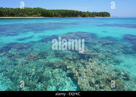 Türkisfarbenes Wasser mit Korallenriff unterhalb der Meeresoberfläche und einer unberührten tropischen Insel im Hintergrund, Karibik, Cayos Zapatilla, Boca Stockfoto