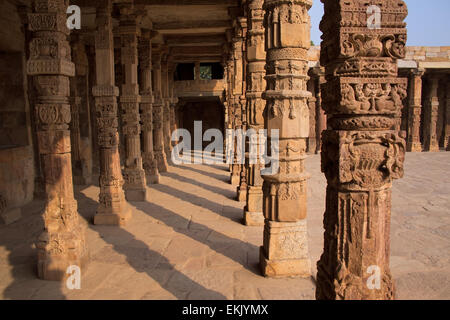 Spalten mit Steinbildhauen im Hof des Quwwat-Ul-Islam-Moschee, Qutub Minar-Komplex, Delhi, Indien Stockfoto