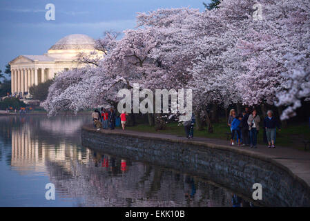 Washington, DC, USA. 10. April 2015. Die Menschen gehen neben der Kirschbäume in der Nähe von Jefferson Memorial in Washington, D.C., Hauptstadt der USA, 10. April 2015. Die Kirschblüte in US-Hauptstadt werden auf ihrer Spitze Blüte. Bildnachweis: Yin Bogu/Xinhua/Alamy Live-Nachrichten Stockfoto