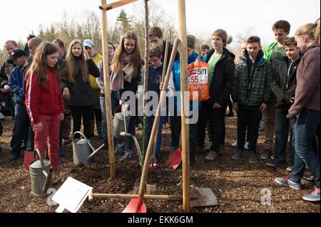 Weimar, Deutschland. 11. April 2015. Kinder aus der Jugend Gruppe "Roter Baum" aus Dresden Werk einer Buche im Rahmen des Projektes "1000 Buchen" (1000 Buche Bäume) im Blutstrasse in der Nähe von Weimar, Deutschland, 11. April 2015. Das Projekt beabsichtigt, denken Sie daran, die Kinder und Jugendlichen, die keine Inhaftierung im KZ Buchenwald überlebt haben. Foto: SEBASTIAN KAHNERT/Dpa/Alamy Live News Stockfoto