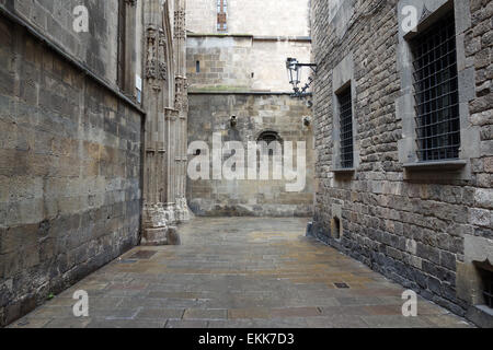 Hinter der Kathedrale im gotischen Viertel von Barcelona an einem regnerischen Tag Stockfoto