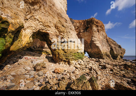 Nasen zeigen County Durham Stockfoto