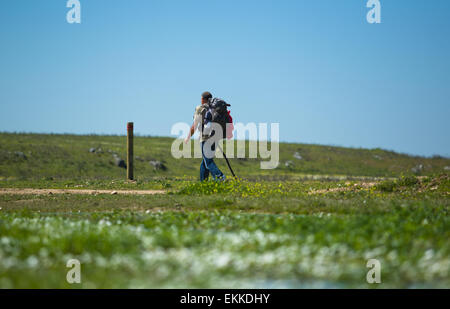 Pilgirim zu Fuß durch die Felder Silber Weg - Via de La Plata - Valdesalor, Cáceres, Extremadura, Spanien Stockfoto