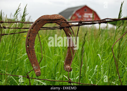 Rostige Hufeisen auf Barbwire Zaun mit Unkraut. Stockfoto