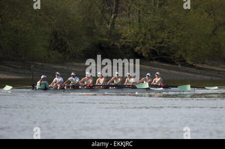 London, UK. 11. April 2015. Cambridge University Women blau Boot während der Newton Womens Boat Race. CUWBC [Bow] Hannah Evans, [#2] Ashton braun, [#3] Caroline Reid, [#4] Claire Watkins, [#5] Melissa Wilson, [#6] Holly Hill, [#7] Daphne Martschenko, [Schlaganfall] Fanny Belais [Cox] Rosemary Ostfeld. Bildnachweis: Stephen Bartholomäus/Alamy Live-Nachrichten Stockfoto