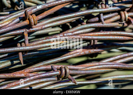 Verrosteter Stacheldraht in einer Rolle Stockfoto