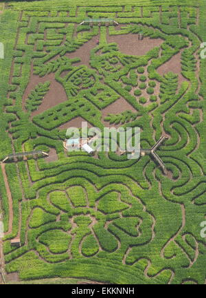 Mais Labyrinth Eröffnung des Autors, Julia Donaldsons der Vogelscheuchen Hochzeit "buchen, Staffordshire, UK - Luftaufnahme Stockfoto