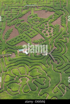 Mais Labyrinth Eröffnung des Autors, Julia Donaldsons der Vogelscheuchen Hochzeit "buchen, Staffordshire, UK - Luftaufnahme Stockfoto